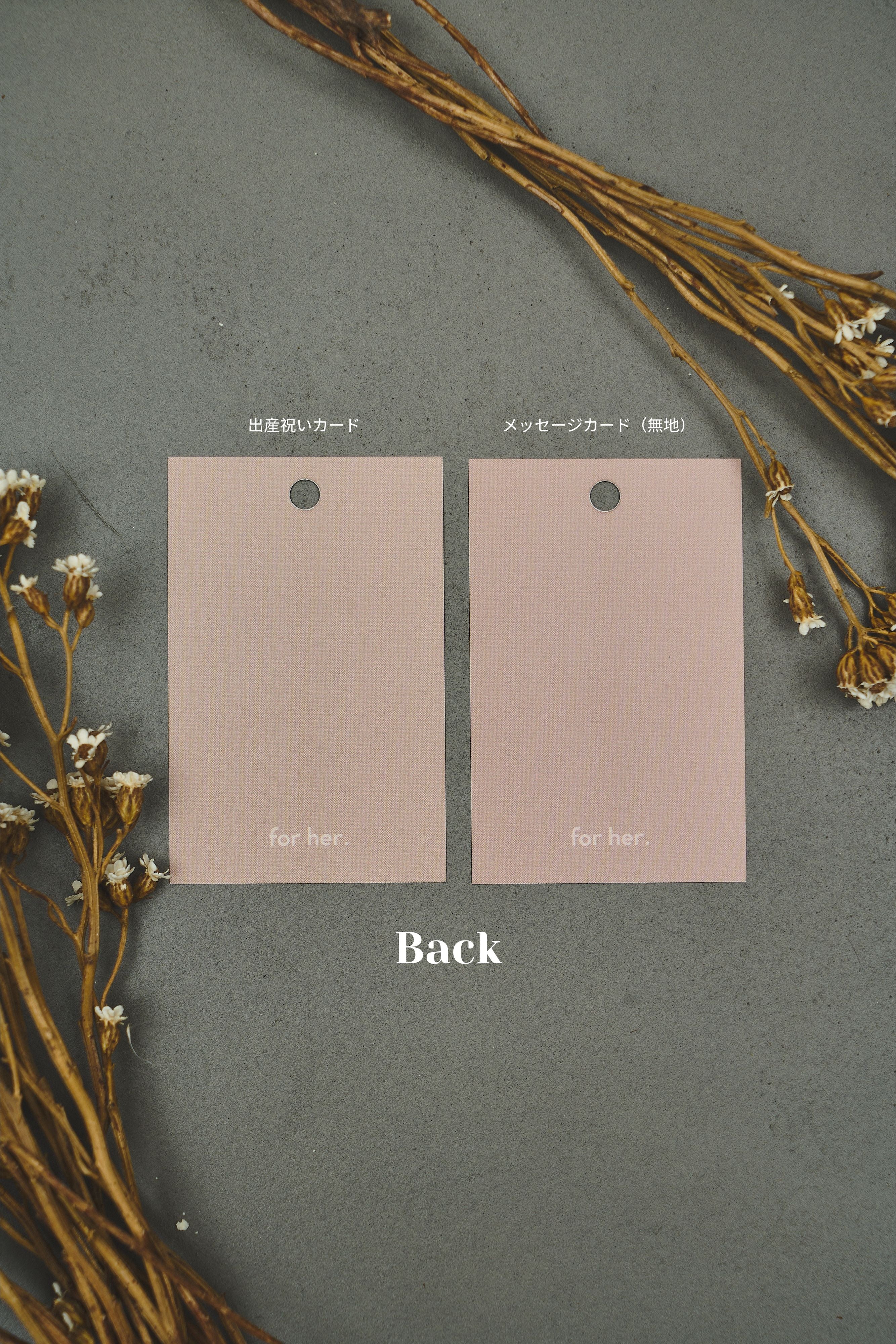 【血・気・温・巡・スタミナ】食材の力を生かした3食スープセット