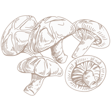 干し椎茸
