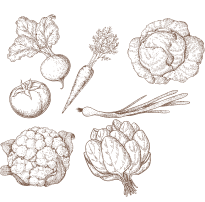 5種の厳選野菜
