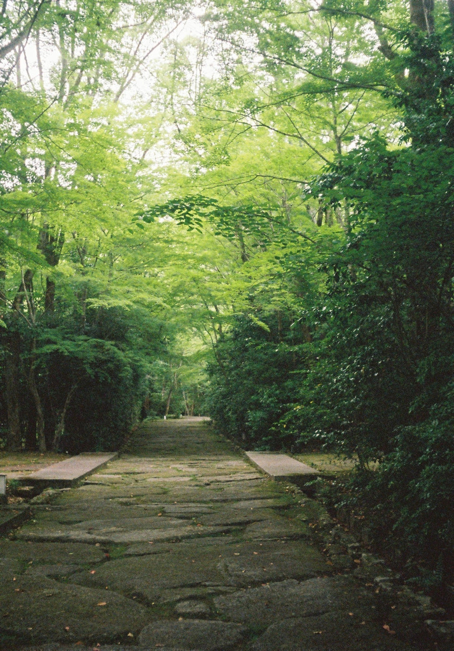 Japanese Culture I Love | 私が惹かれる日本文化